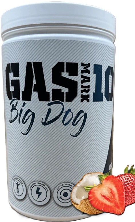gas mark 10 big dog
