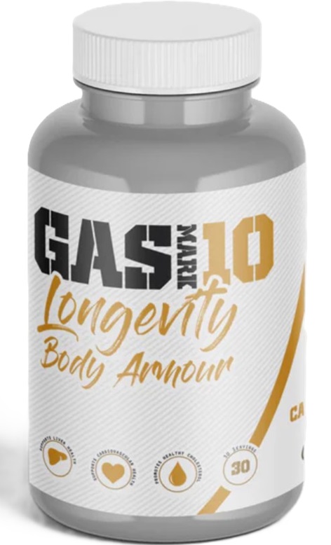 gas mark 10 longevity body armour pic